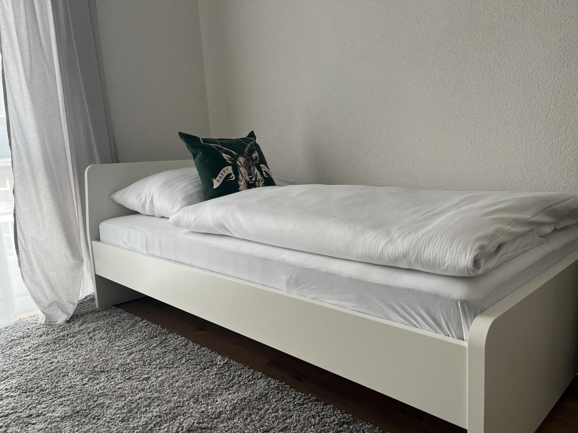 Schluessel Apartments Lahr  Zewnętrze zdjęcie